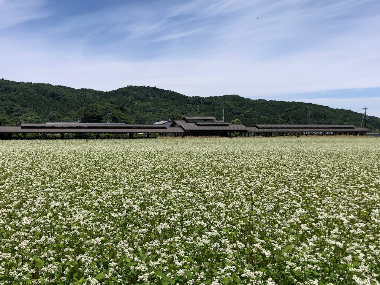 ちちぶ花見の里