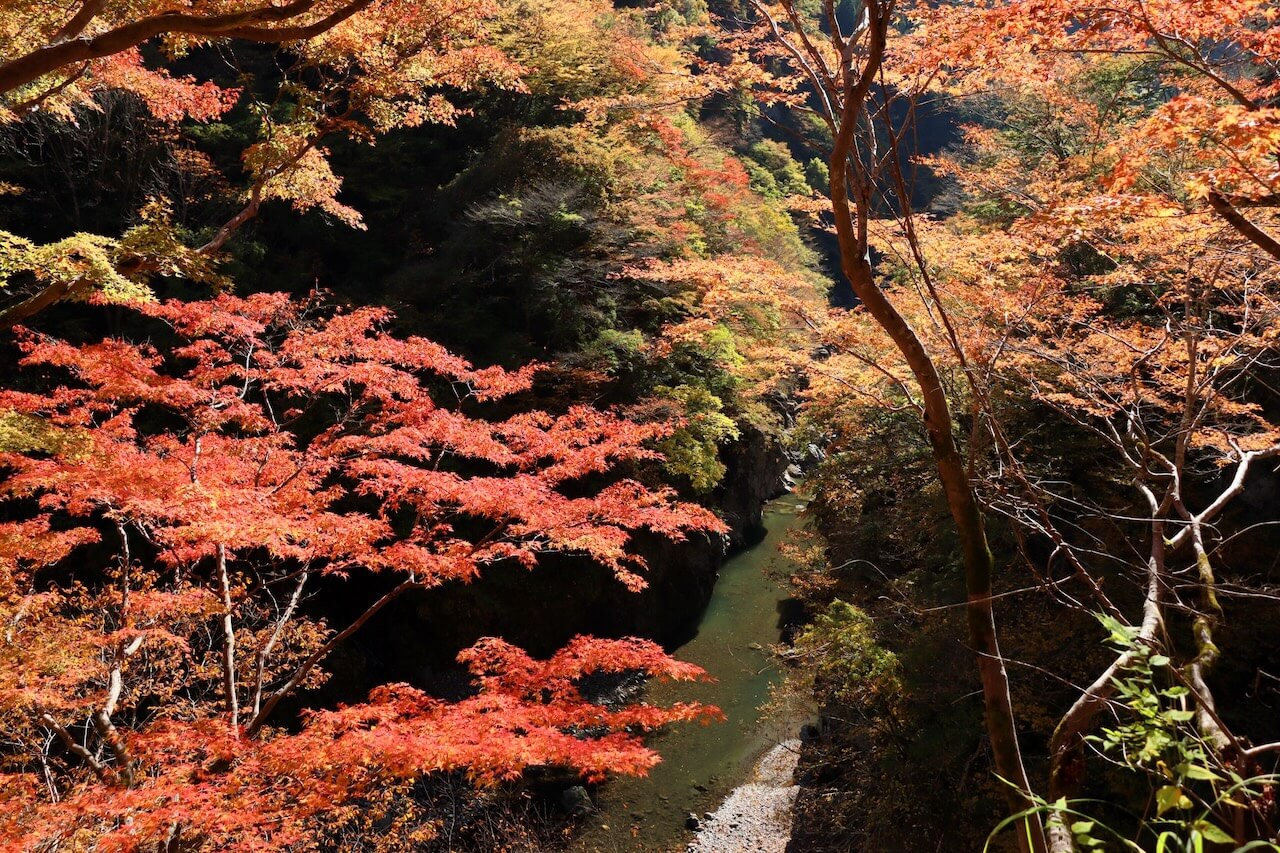 金蔵落としの渓流