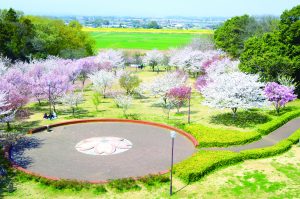 高尾さくら公園