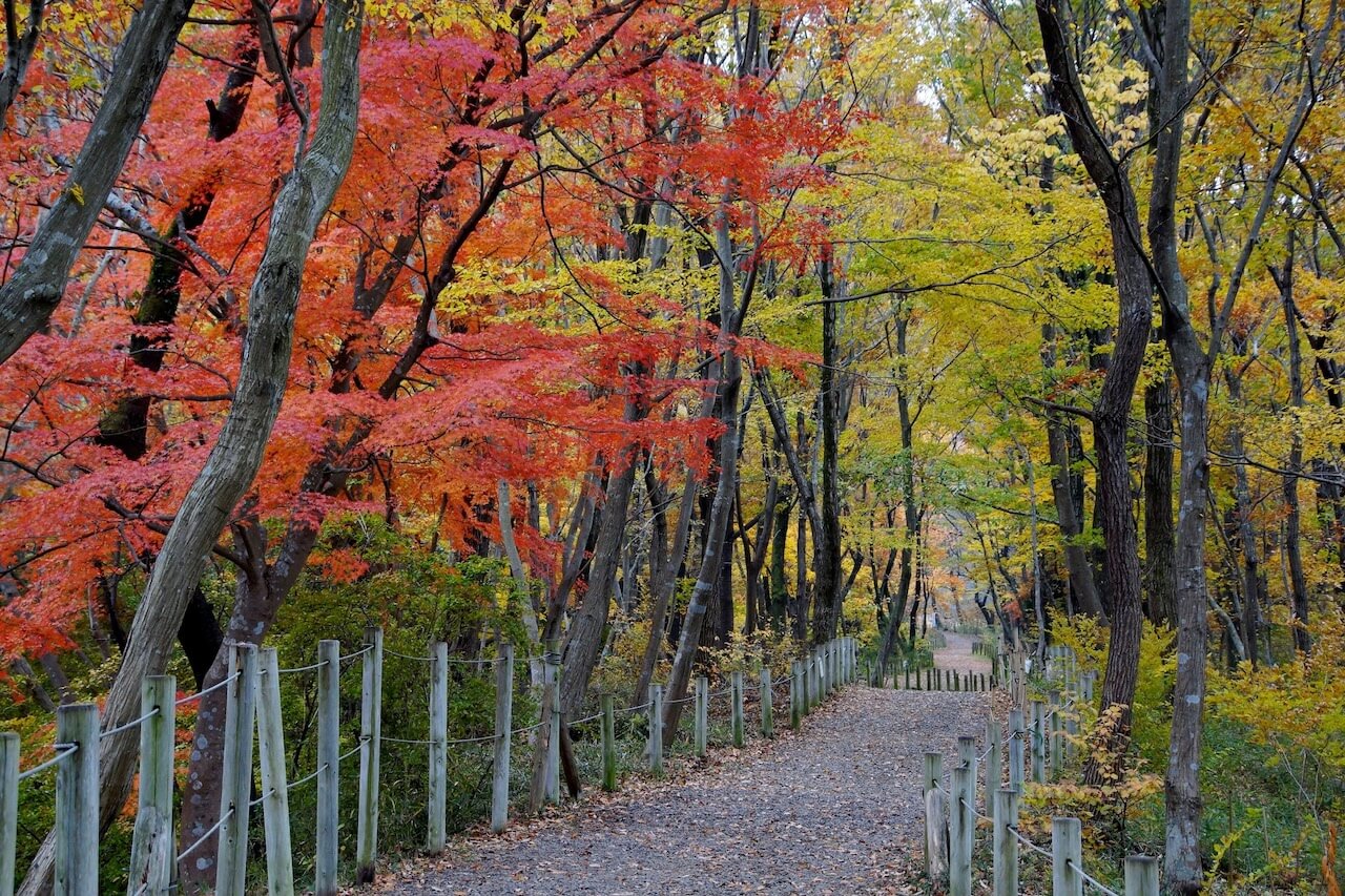 嵐山渓谷遊歩道