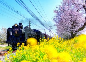 ＳＬパレオエクスプレス