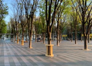 さいたま新都心けやきひろば