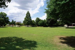 文化の杜公園