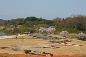 北本水辺プラザ公園