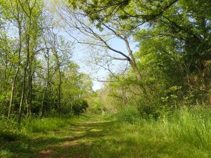 荒川大麻生公園