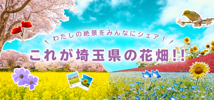 埼玉県には絶景花畑がたくさん！四季折々の美しい風景を、ぜひカメラにおさめてみませんか？