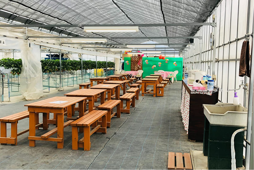 いちごドリーム江南の画像