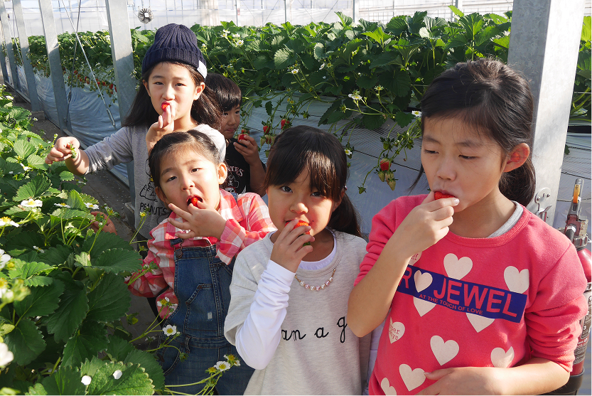 越谷いちごタウンの画像