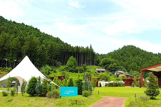 Nolla naguri（写真）