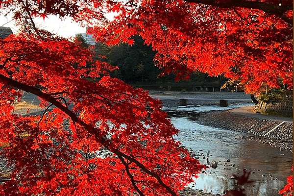 飯能河原（写真）