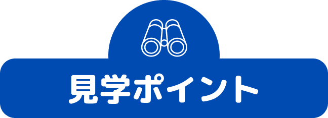 見学ポイント