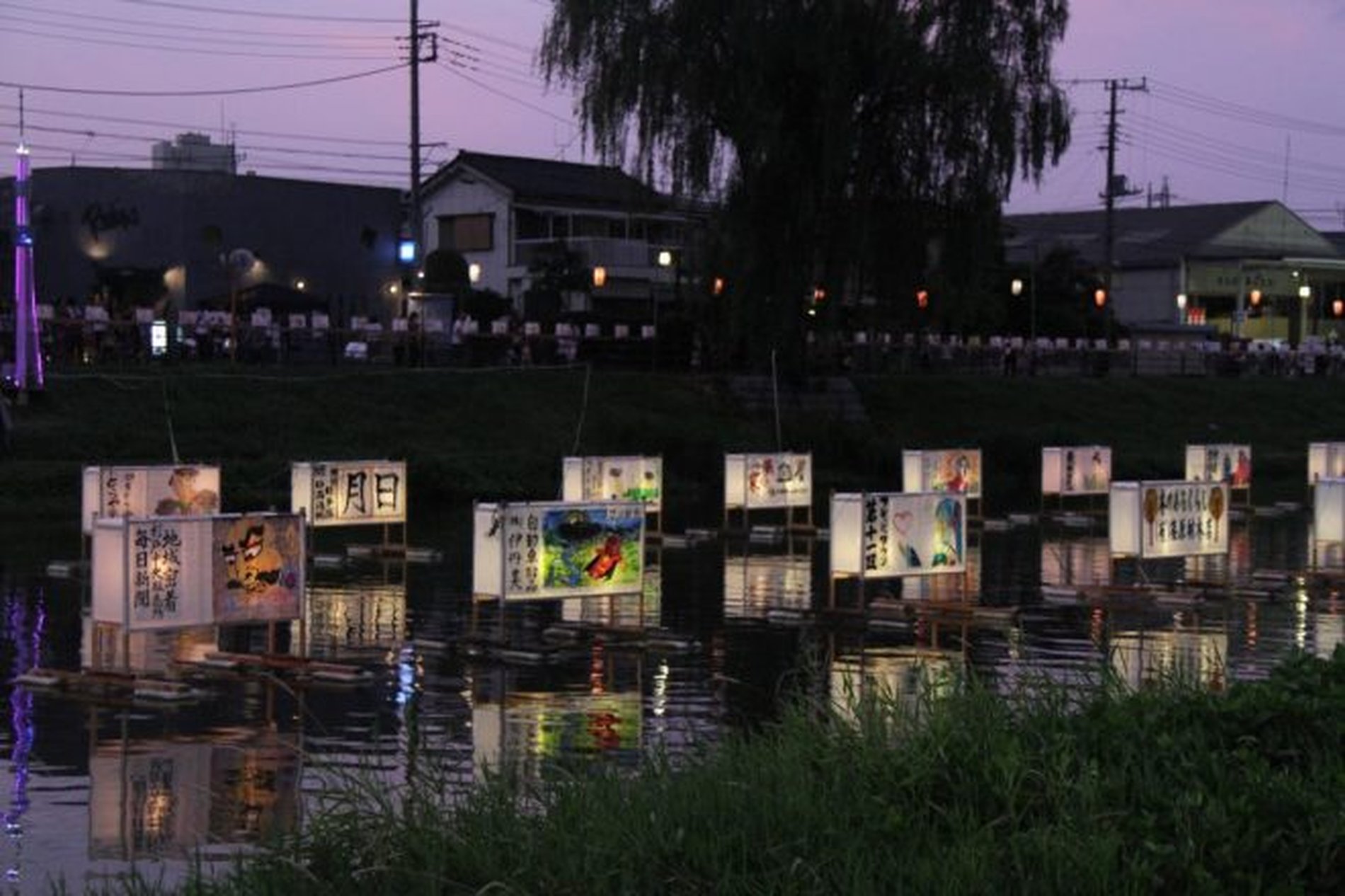 薄暮の古利根川を彩る色鮮やかな流灯の列