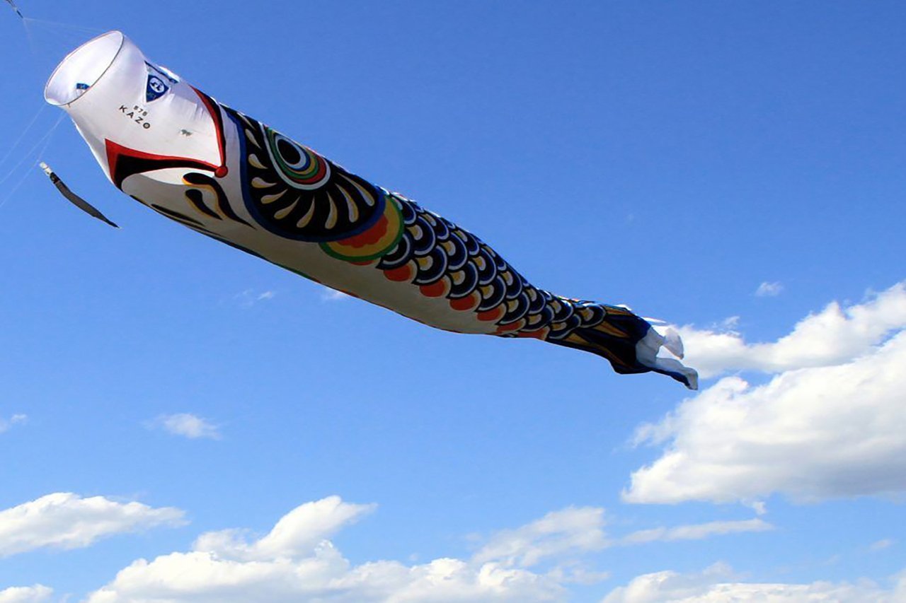 澄んだ青空の中、巨大なこいのぼりがダイナミックに遊泳する姿