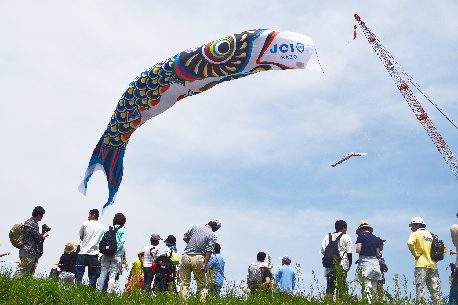 クレーンによって空高く掲げられたジャンボこいのぼりが風を受けて優雅に泳ぐ光景