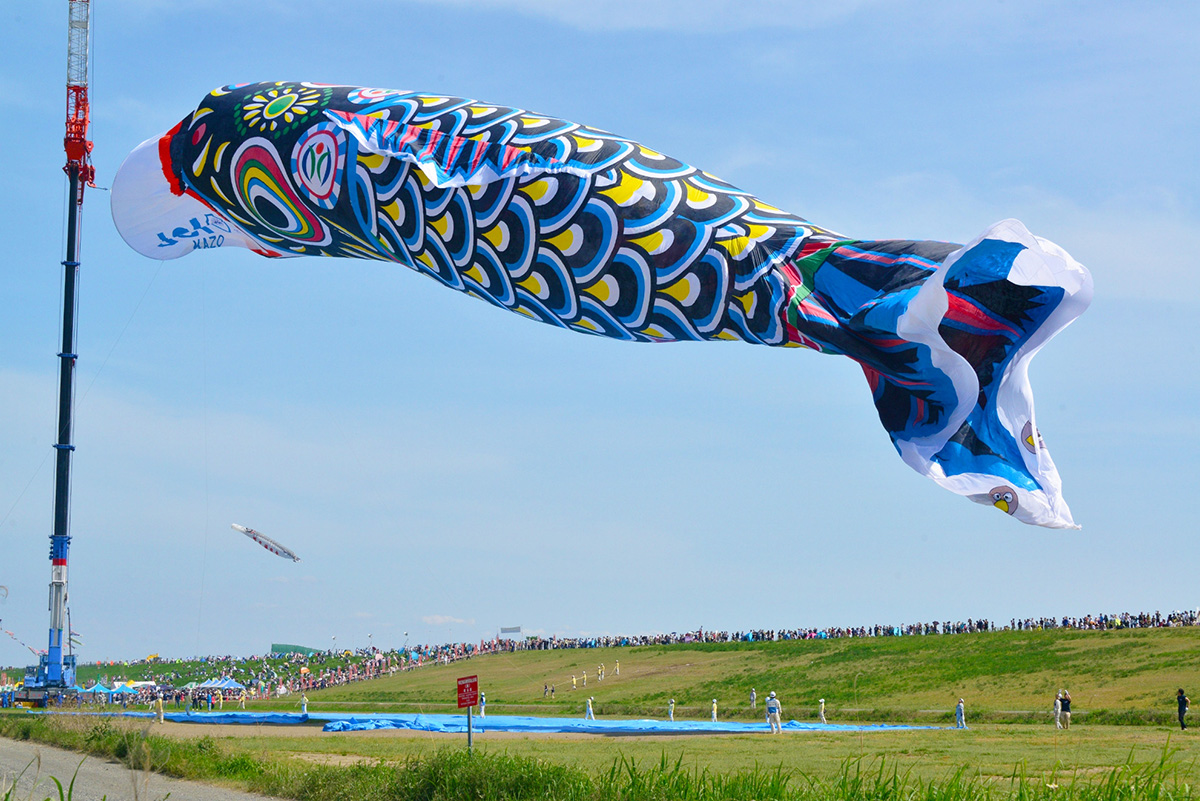 大空に向かって大きく泳ぐジャンボこいのぼり。クレーンに吊るされ、風を受けてたなびく様子