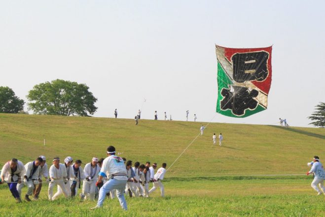 大凧あげ祭の画像