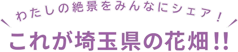 これが埼玉県の花畑！！2025 Instagram投稿キャンペーン