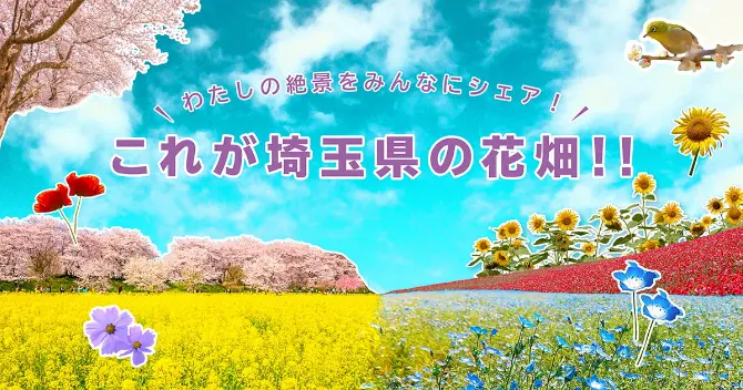 これが埼玉県の花畑！！