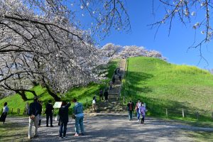 さきたま古墳公園