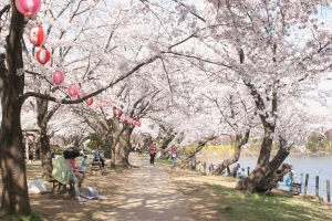鶴ヶ島市運動公園