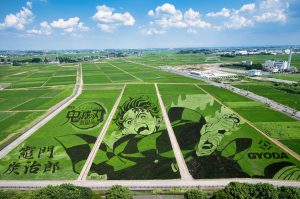 行田市世界最大の田んぼアート（鬼滅の刃）・古代蓮の里