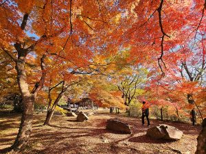 嵐山渓谷紅葉まつり
