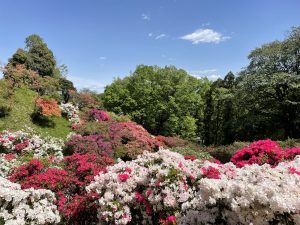 五大尊つつじ公園