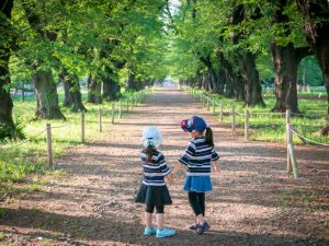 緑のトラスト保全第13号地 無線山・ＫＤＤＩの森