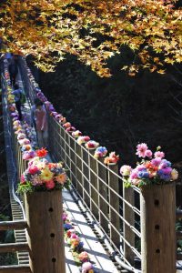 尾ノ内渓谷紅葉まつり