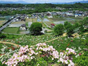 花咲山公園