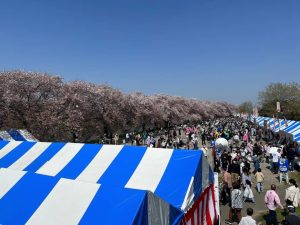 第34回商工祭さくらまつり