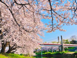 いろは親水公園