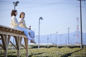 茶畑テラス「茶の輪」