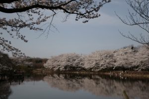 鶴ヶ島市運動公園