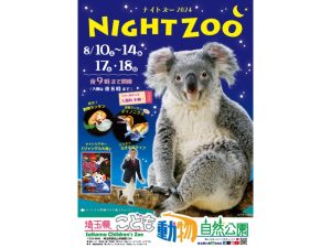 NIGHT ZOO