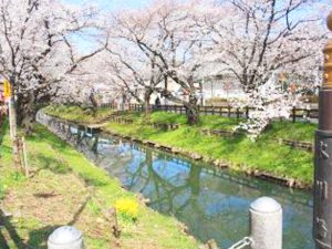 川越氷川神社裏の新河岸川