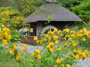 山吹の里歴史公園