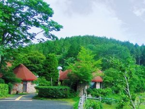 埼玉県 県民の森