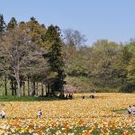 国営武蔵丘陵森林公園