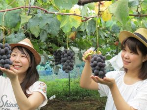 あしがくぼ果樹公園村