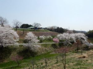 谷津の里