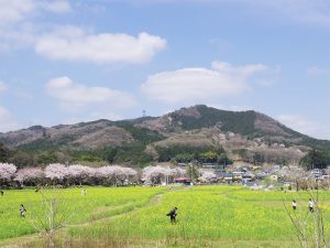 日和田山