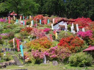 五大尊つつじ公園