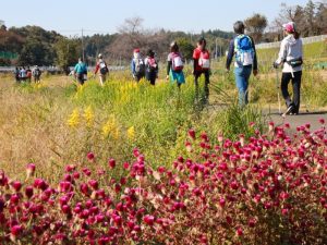 第45回日本スリーデーマーチ
