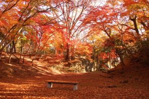 雀宮公園