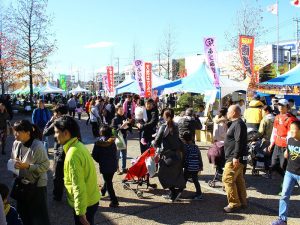いい富士見の日