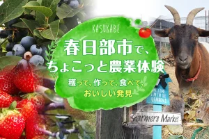 春日部市で、ちょこっと農業体験