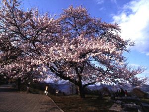 いこいの村 ヘリテイジ美の山