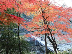 嵐山渓谷紅葉まつり