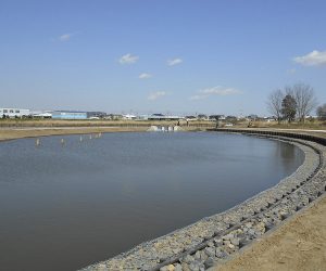 中川やしお水辺の楽校